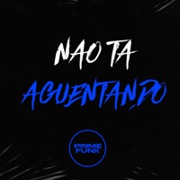 Nao Ta Aguentando - Single - DJ Surtado 011, MC Morgana & Mc Magrinho