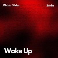 Wake up (feat. Zehlla) - Single - Mhizta Slides