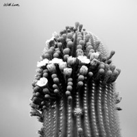 Forever's Not Enough - Single - John Wolf