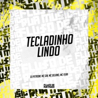 Tecladinho Lindo - Single - DJ Petrone, MC GW, Mc Delano & Mc Fera