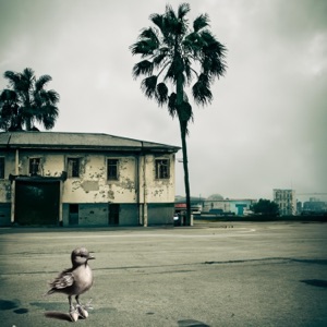 in a parking lot on the edge of town - Single