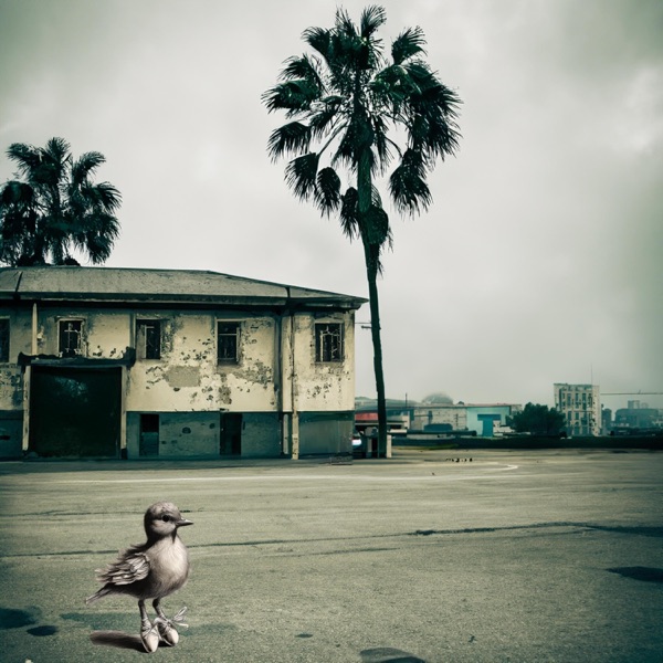 in a parking lot on the edge of town - Single