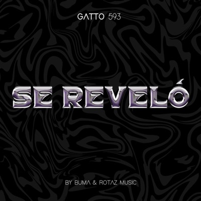 Se Reveló - Single