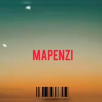 Mapenzi (feat. Monchidy) - Single - Flood Boy tz