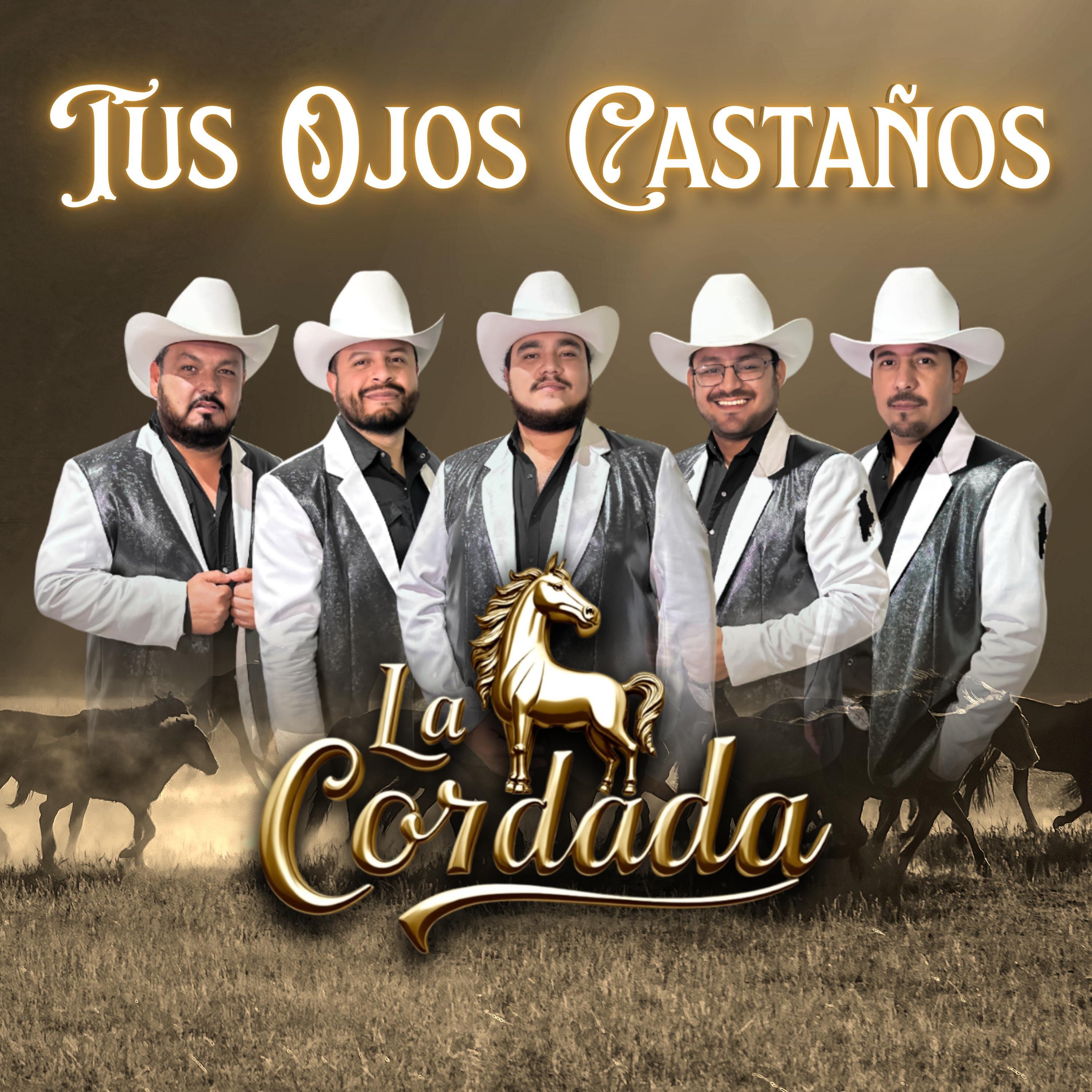 Tus Ojos Castaños (En Vivo) - Single