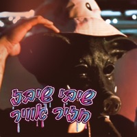 חזיר אוויר - Single - Shibi Shibz
