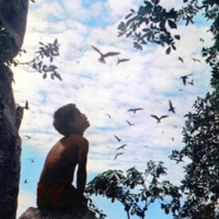 Phone - Single - 14kBird