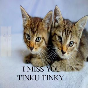 I Miss You Tinku Tinky