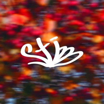 Diamond - Single
