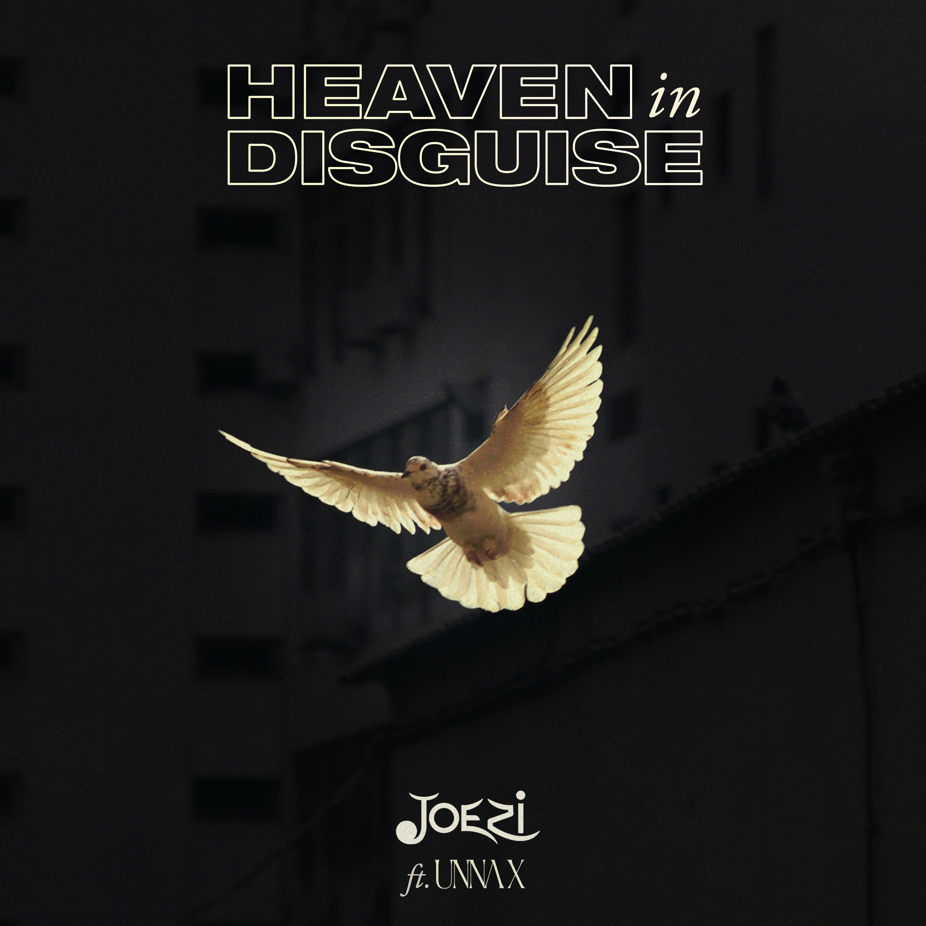 Heaven in Disguise - Single