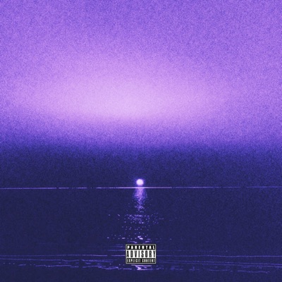 Like I'm Bieber - Single