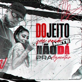 Do Jeito Que Você Mete (feat. MC Thaizinha) DJ Lorran