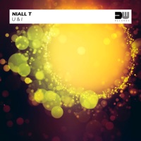 U & I - Single - Niall T