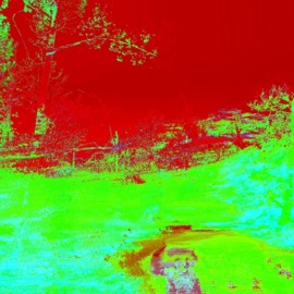 Cherry Lipgloss Flowr