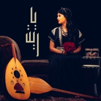 If Only (Radio Edit) - Single - Didon & Meriem Ben Amor