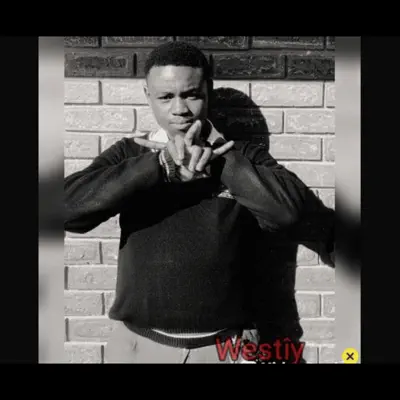 Ascolta 'GO HARD OR GO HOME' di Wicked