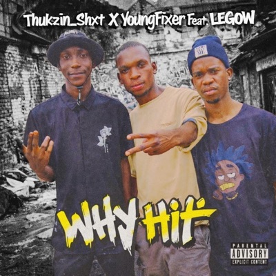 Why (feat. Legow & Thukzin_shxt) - Single