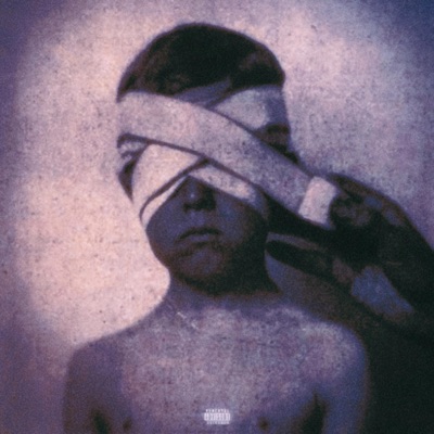 IS THIS THE END (feat. BLAMZZ) - Single