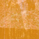 Tacoma Park - Untied