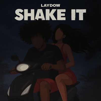 Shake It (feat. LAYDOW) - Single