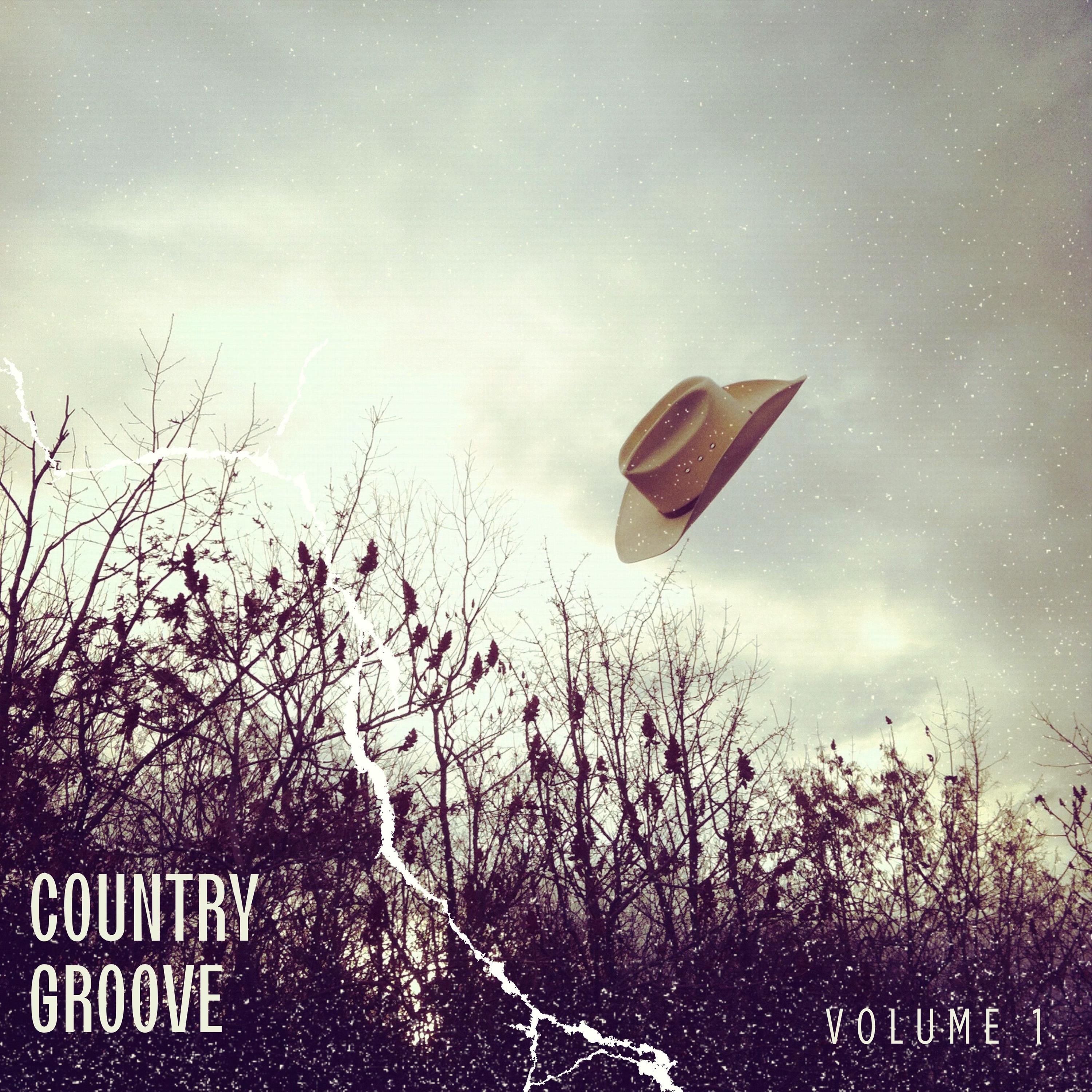 Country Groove, Vol. 1