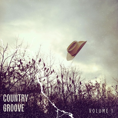 Country Groove, Vol. 1