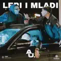Lepi i Mladi