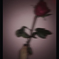 Hold Me Down - Single - J Mafia