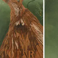 Tōtara — Aro