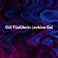 Gül Yüzlülerin Şevkine Gel - Single - Dilek Türkan & Derya Türkan