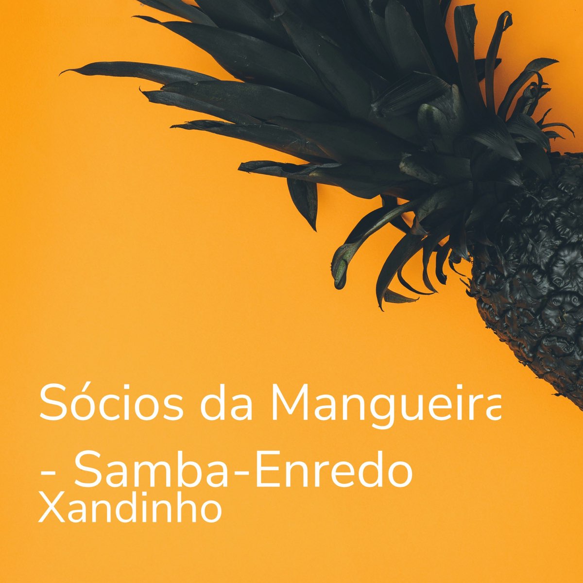 ‎Sócios da Mangueira - Samba-Enredo - Single - Album by Xandinho ...