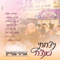 ניצחתי ואנצח - Single - Avrumy Straus