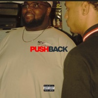 PUSH BACK (feat. Ty Graves) [Remix] - Single - Notlem