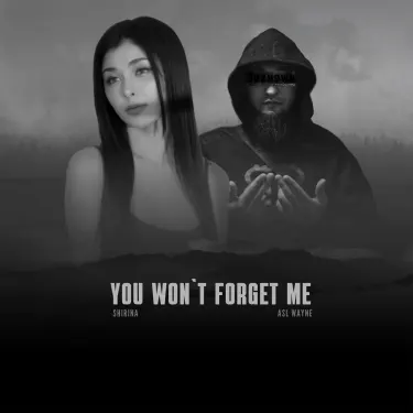 You Won't Forget Me (feat. Shirina)