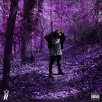 Back to the Rasta, Vol. 2 - Rasta Tahj