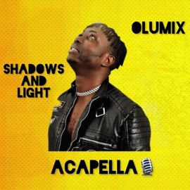 Party (feat. Ociro J) [Acapella] Olumix