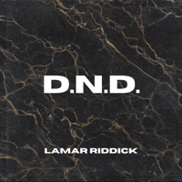 D.N.D. - Single - Lamar Riddick