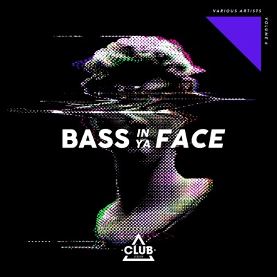 Bass in Ya Face, Vol. 6
