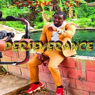Perseverance - Single