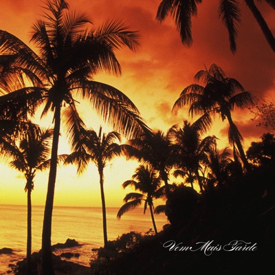 Vem Mais Tarde - Single