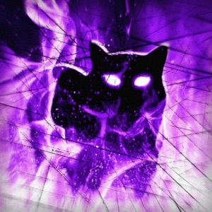 OIA OIA - Single