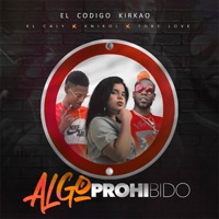 Algo Prohibido (feat. Tobe Love) - Single - El Codigo Kirkao, El Caly & Knikol