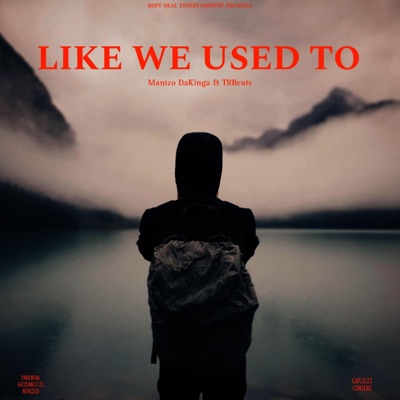 Like We Used To - Single