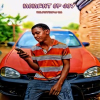 Moment Of Joy - Single - Valentine16 SA