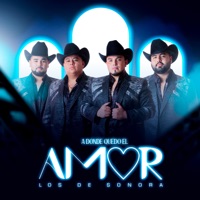 A Donde Quedo el Amor - Single - Los de Sonora