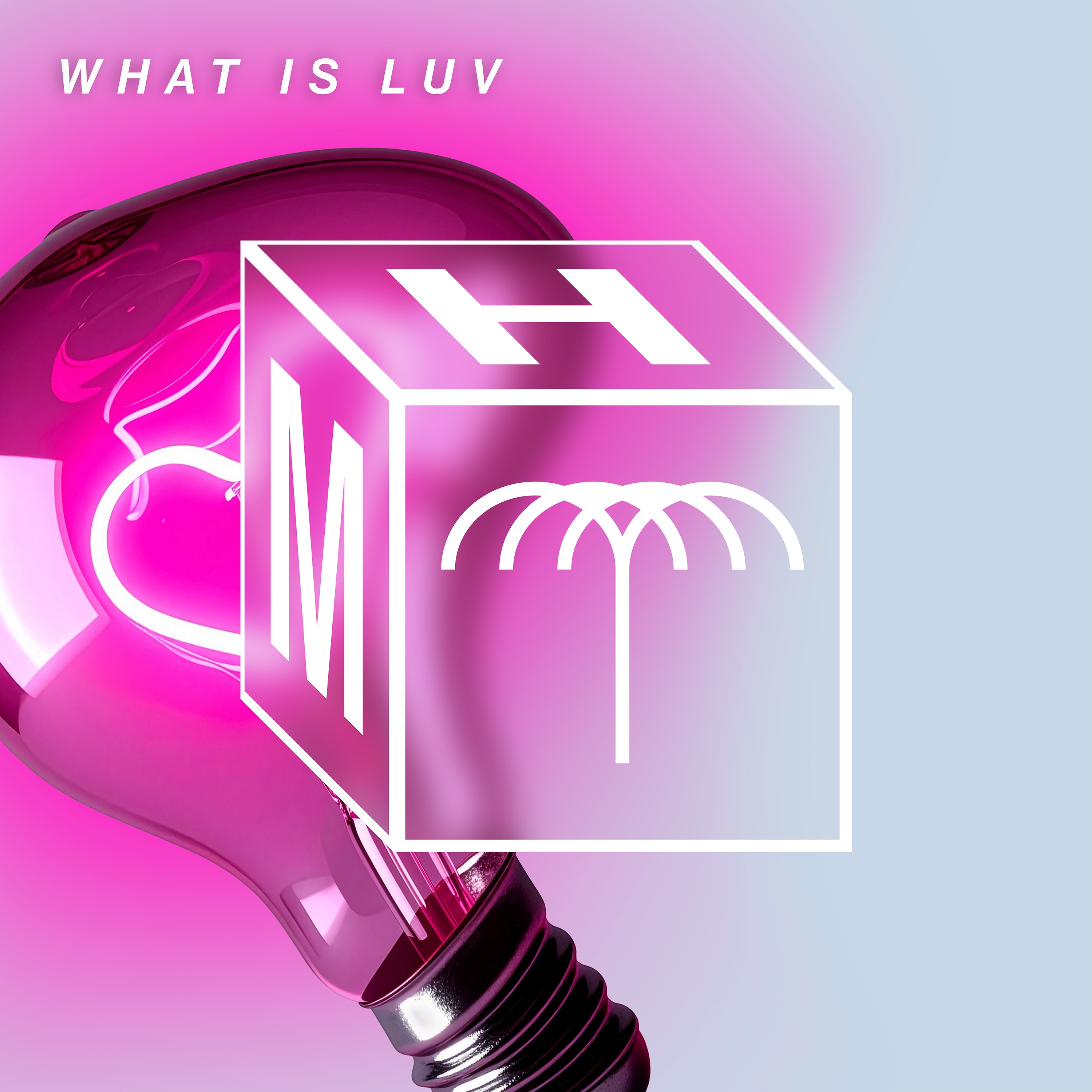 What Is Luv (Extended Mix) - Single
