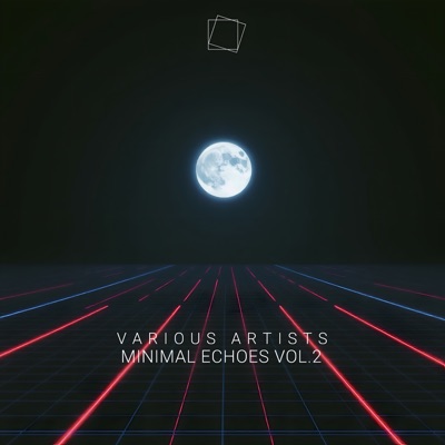 Minimal Echoes vol.2