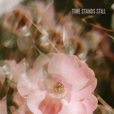 Time Stands Still - Single