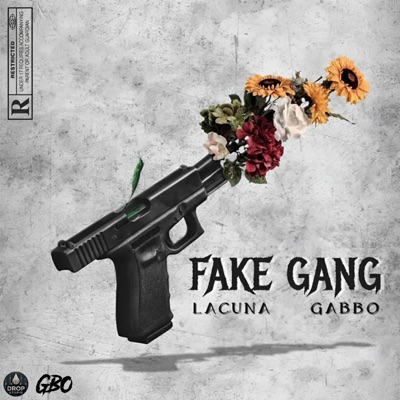 Fake Gang (feat. Gabbo) - Single