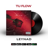 Tu Flow - Single - Leynad